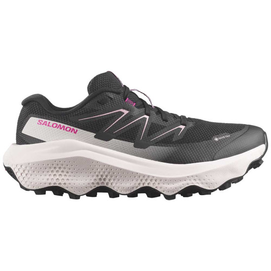 Salomon Ultra Flow 2 GTX W